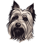 Fluffy Yorkies Home